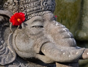 gray elephant statue with red hibiscus on ear thumbnail