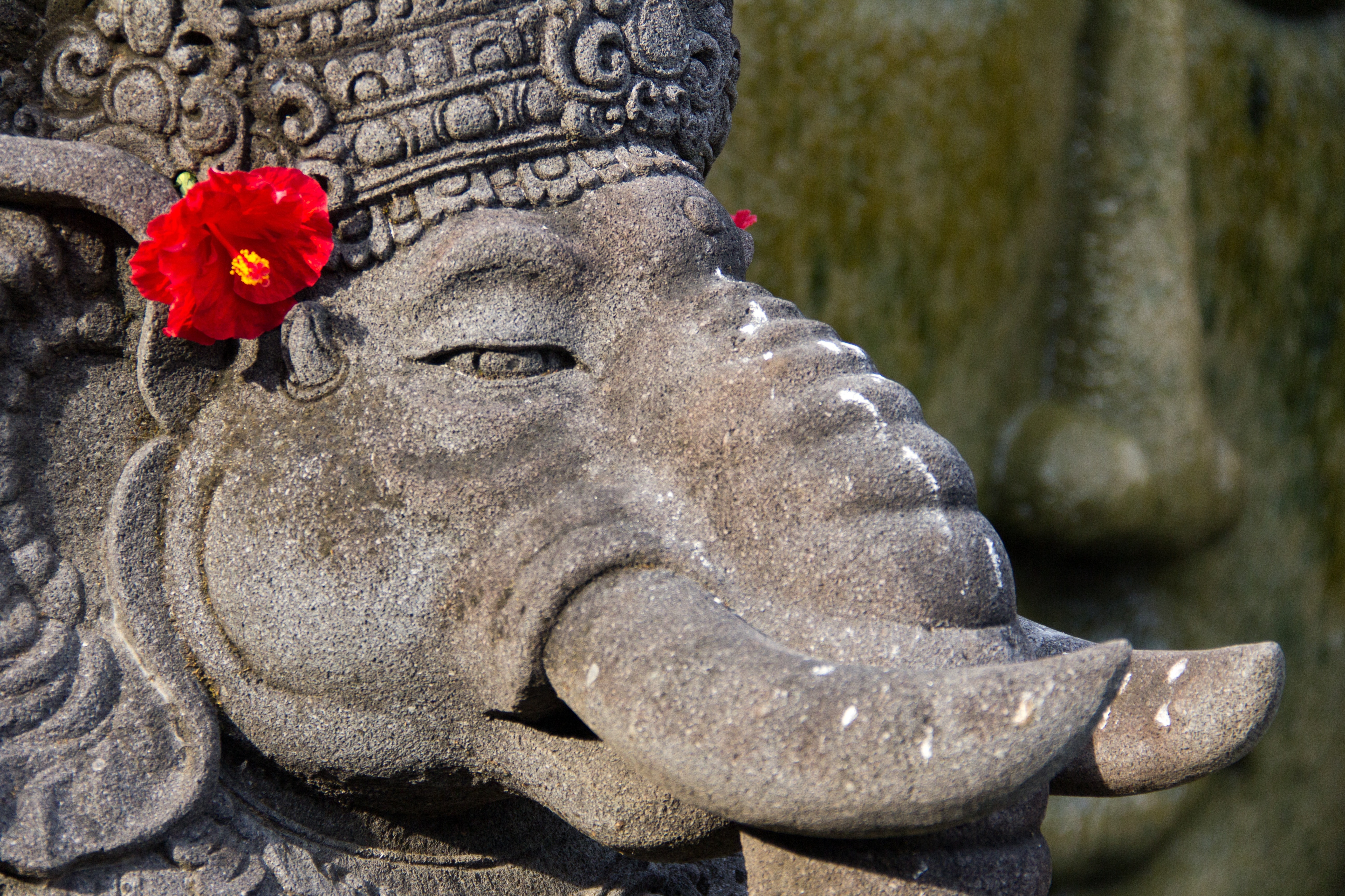 gray elephant statue with red hibiscus on ear