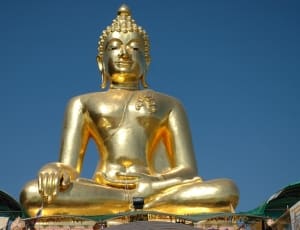 gold buddha statue thumbnail