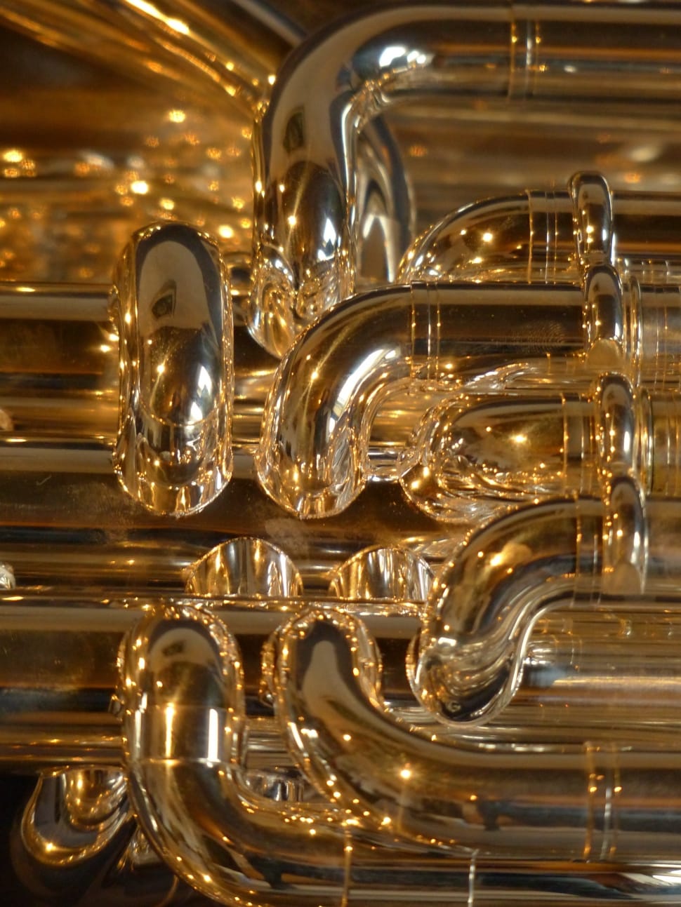 Brass Instrument, Euphonium, Instrument, gold colored, musical instrument preview