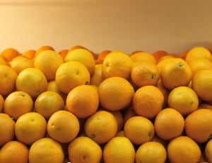 citrus fruit lot thumbnail