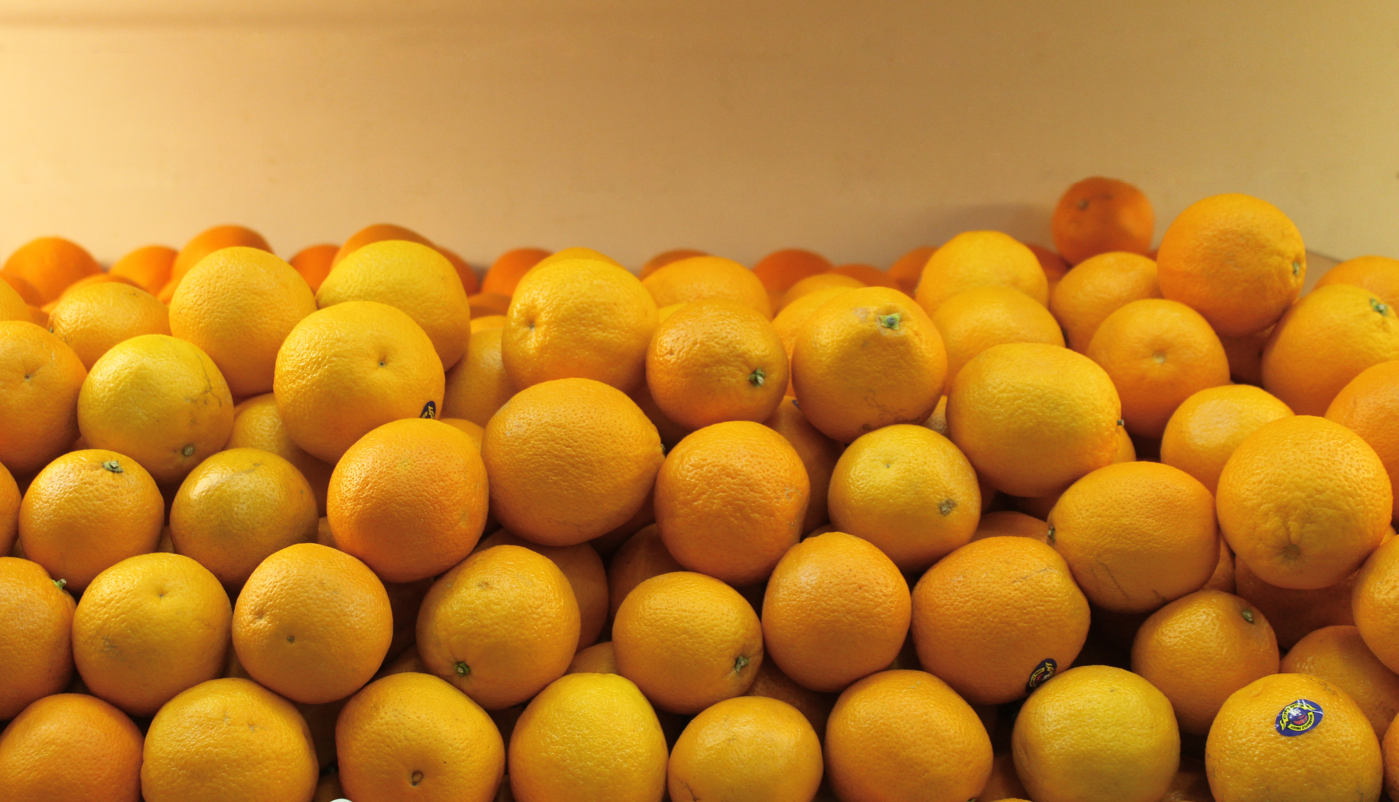citrus fruit lot