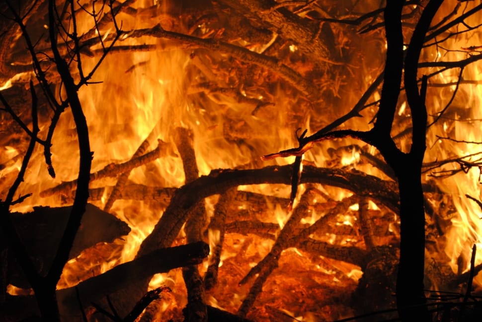 Flame, Glowing, Brand, Fire, Wood Fire, heat - temperature, tree preview