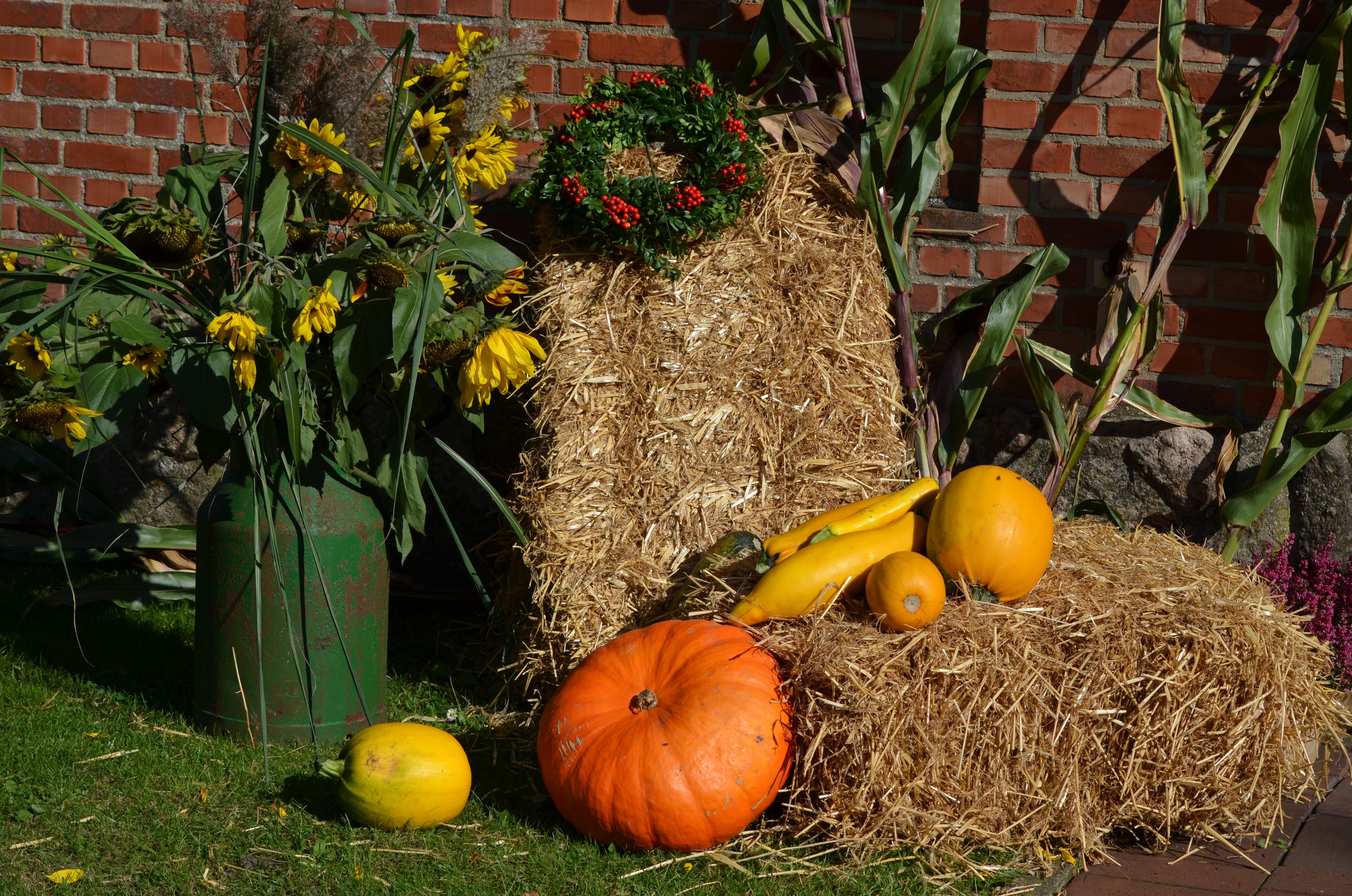 assorted pumpkins in hay