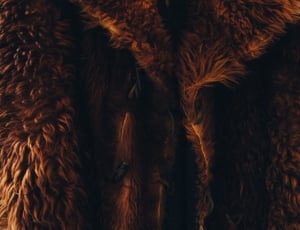brown fur coat thumbnail