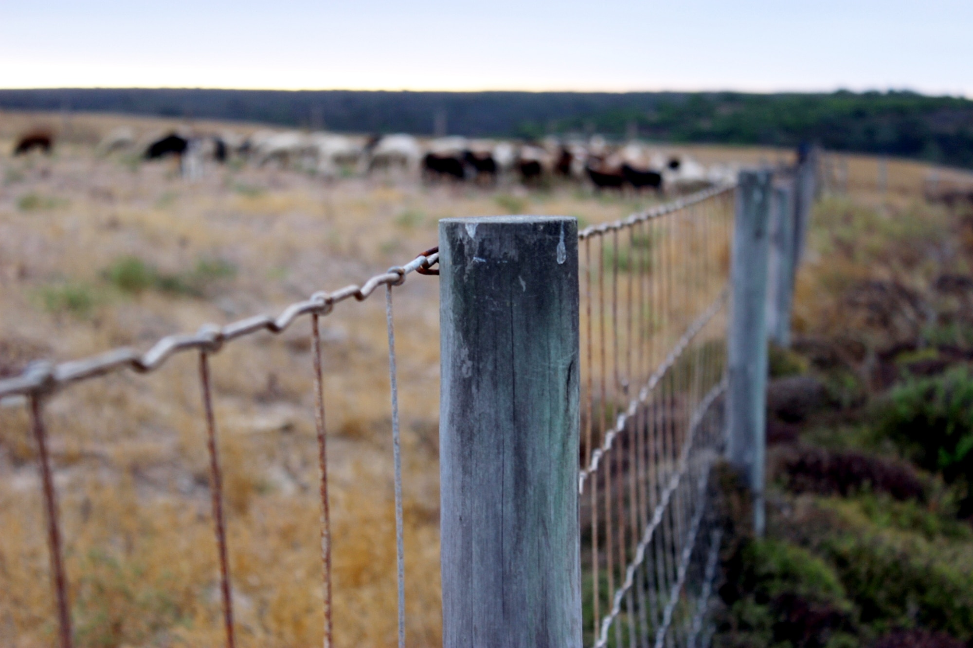 gray fence beside grass field