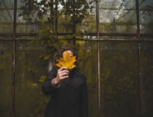 woman in black coat holding yellow maple leaves thumbnail