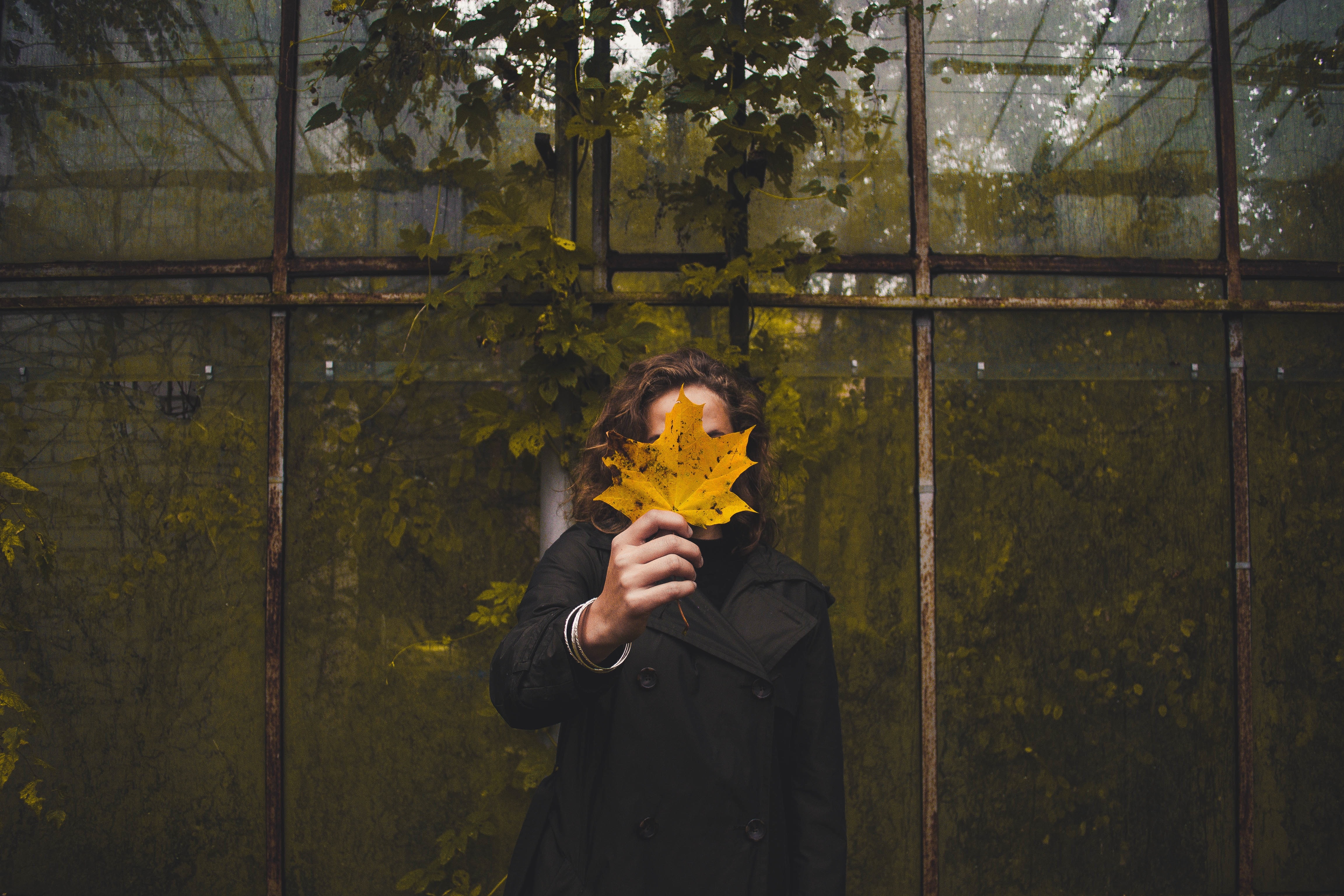 woman in black coat holding yellow maple leaves