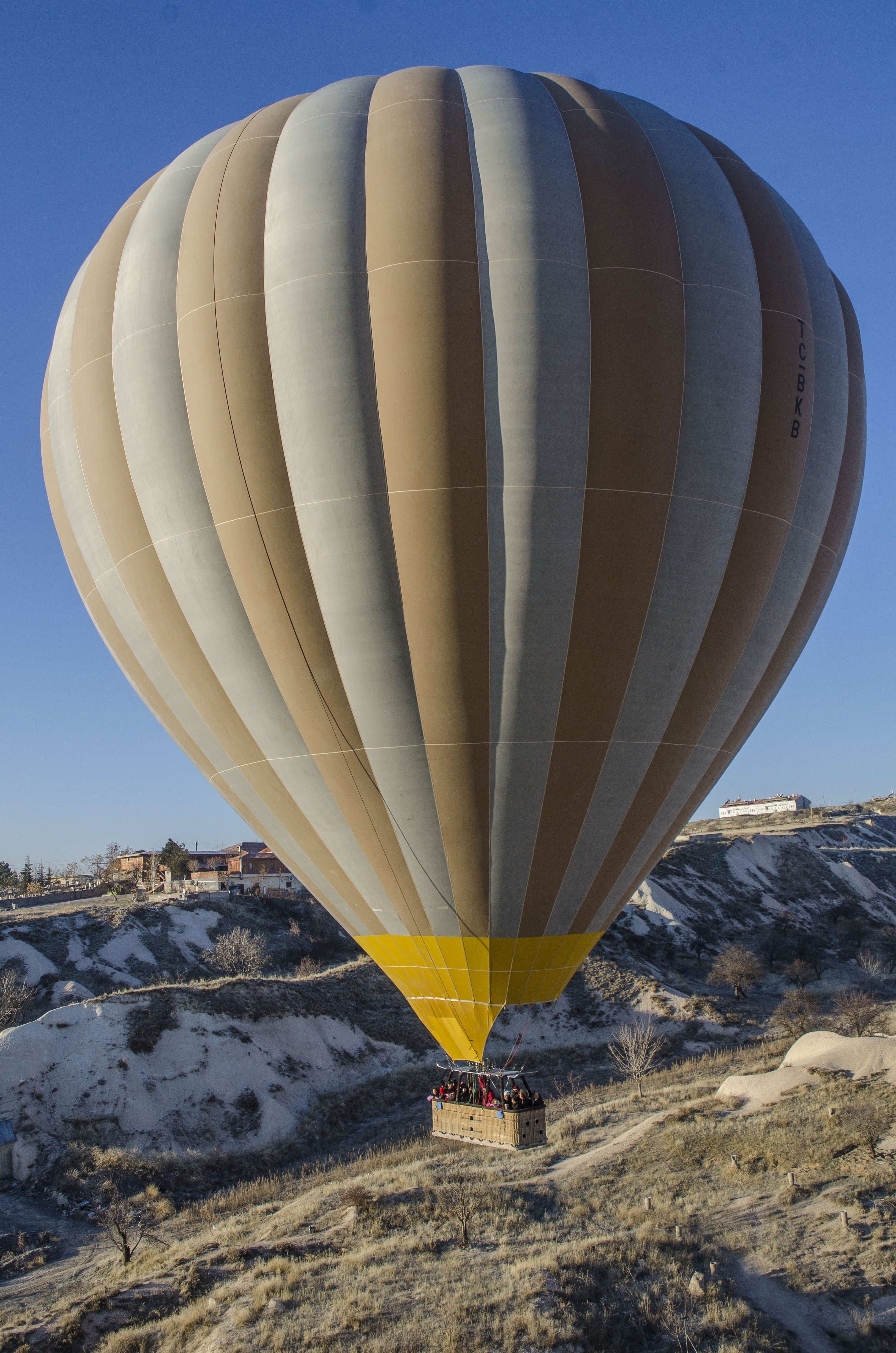 white and beige hot air balloon