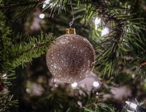 gray christmas ball in pine tree thumbnail