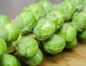 cabbage fruits thumbnail