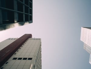 low view angle photography of high rise buildings thumbnail