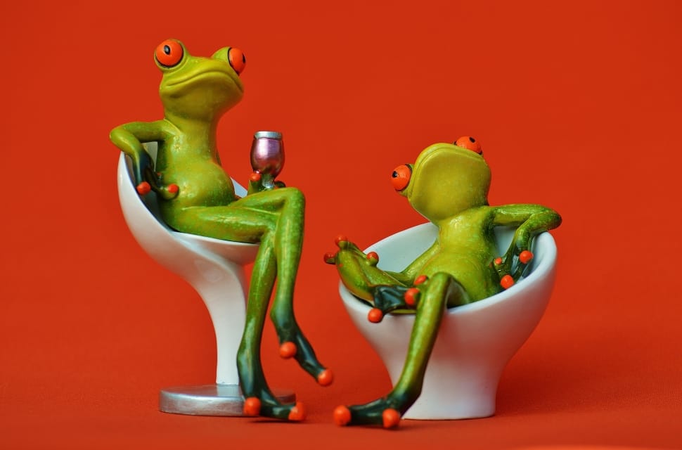 Party, Celebrate, Drink, Funny, Frogs, colored background, studio shot preview