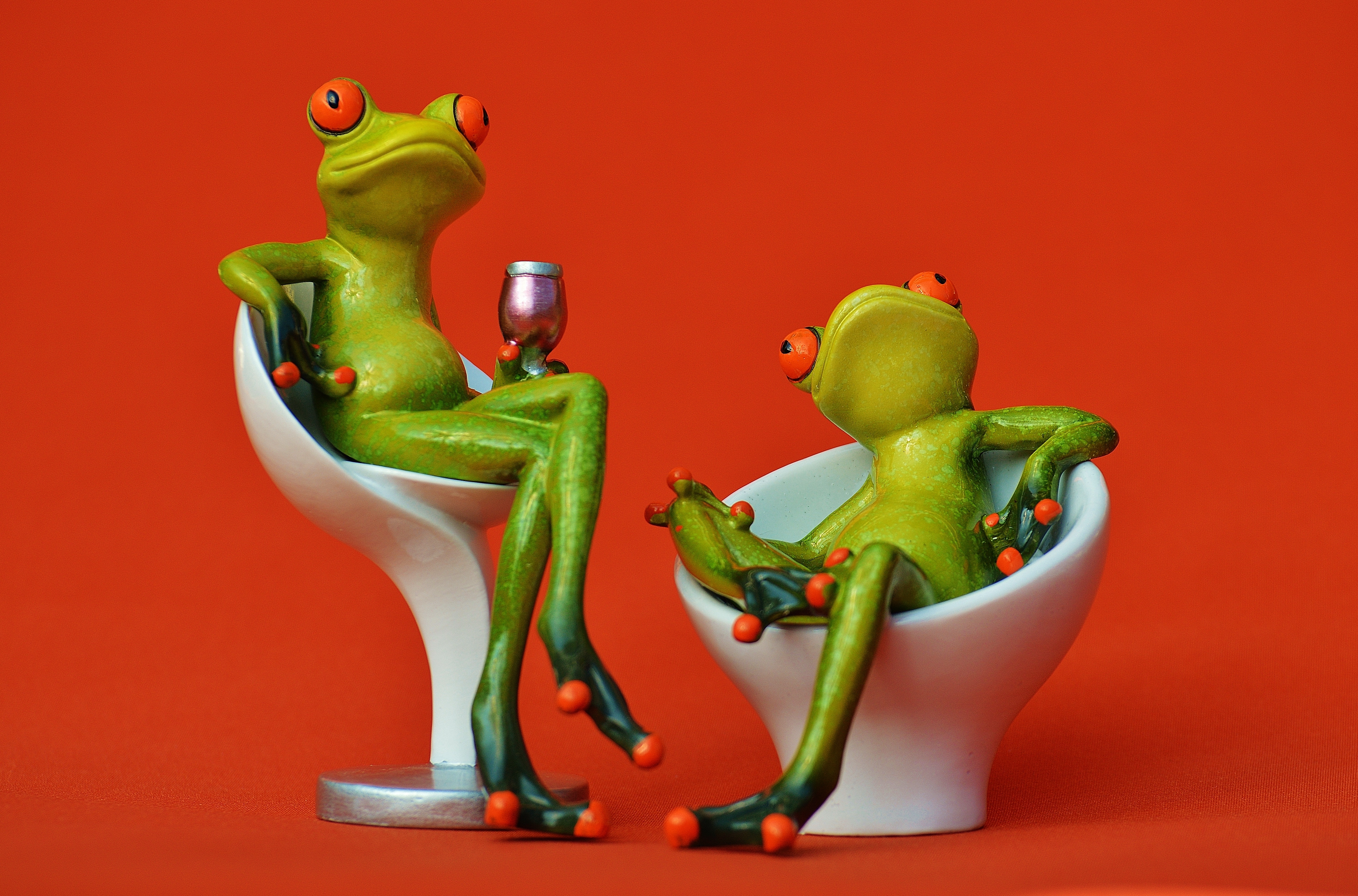 Party, Celebrate, Drink, Funny, Frogs, colored background, studio shot