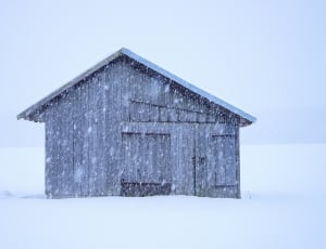 brown wooden shed thumbnail