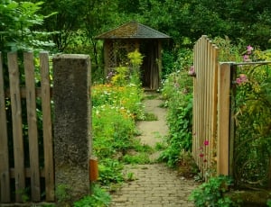 Garden Door, Cottage Garden, Garden, gate, wood - material thumbnail