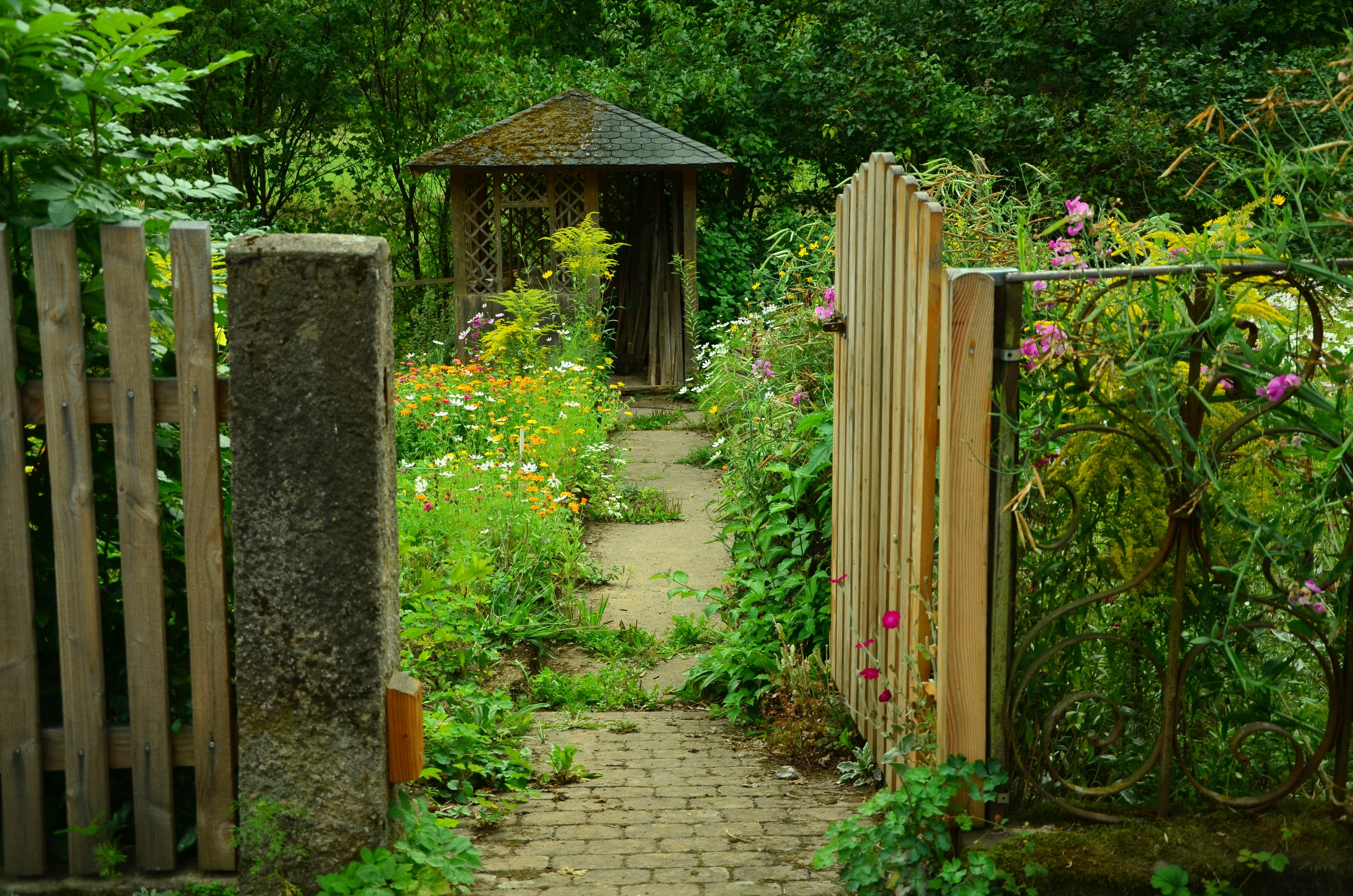 Garden Door, Cottage Garden, Garden, gate, wood - material