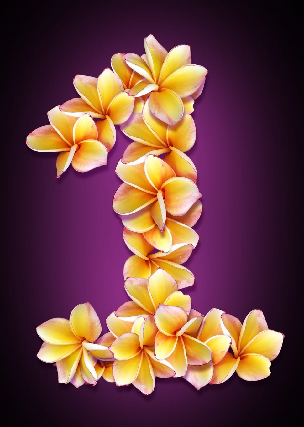 number 1 yellow petaled flower preview