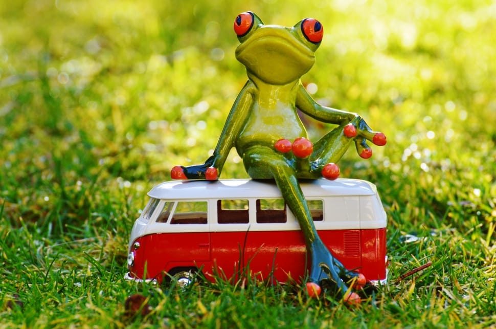 Animal, Bulli, Volkswagen, Cute, Frog, grass, toy preview
