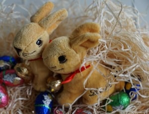 brown rabbits plush toys and easter eggs thumbnail