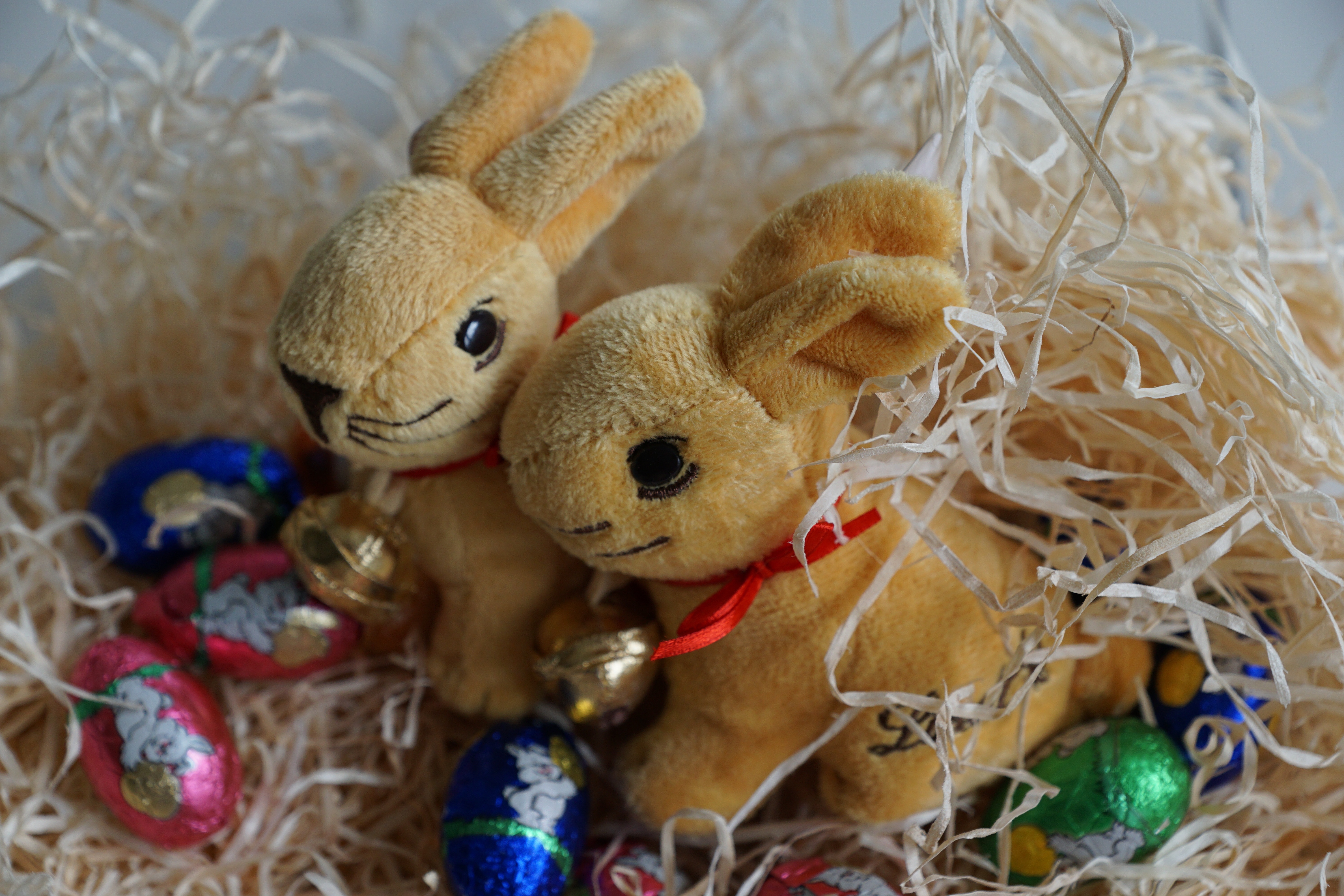brown rabbits plush toys and easter eggs