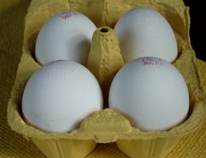 Egg, Egg Carton, Egg Box, Food, egg, indoors thumbnail