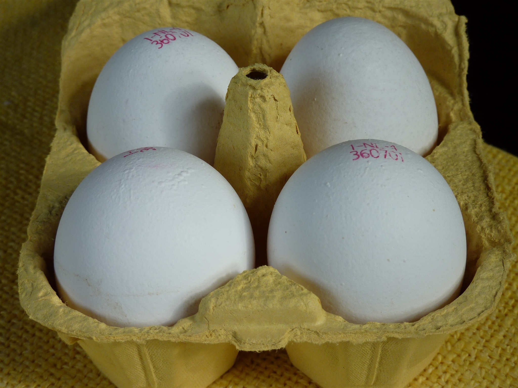 Egg, Egg Carton, Egg Box, Food, egg, indoors