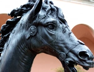 gray horse statue thumbnail