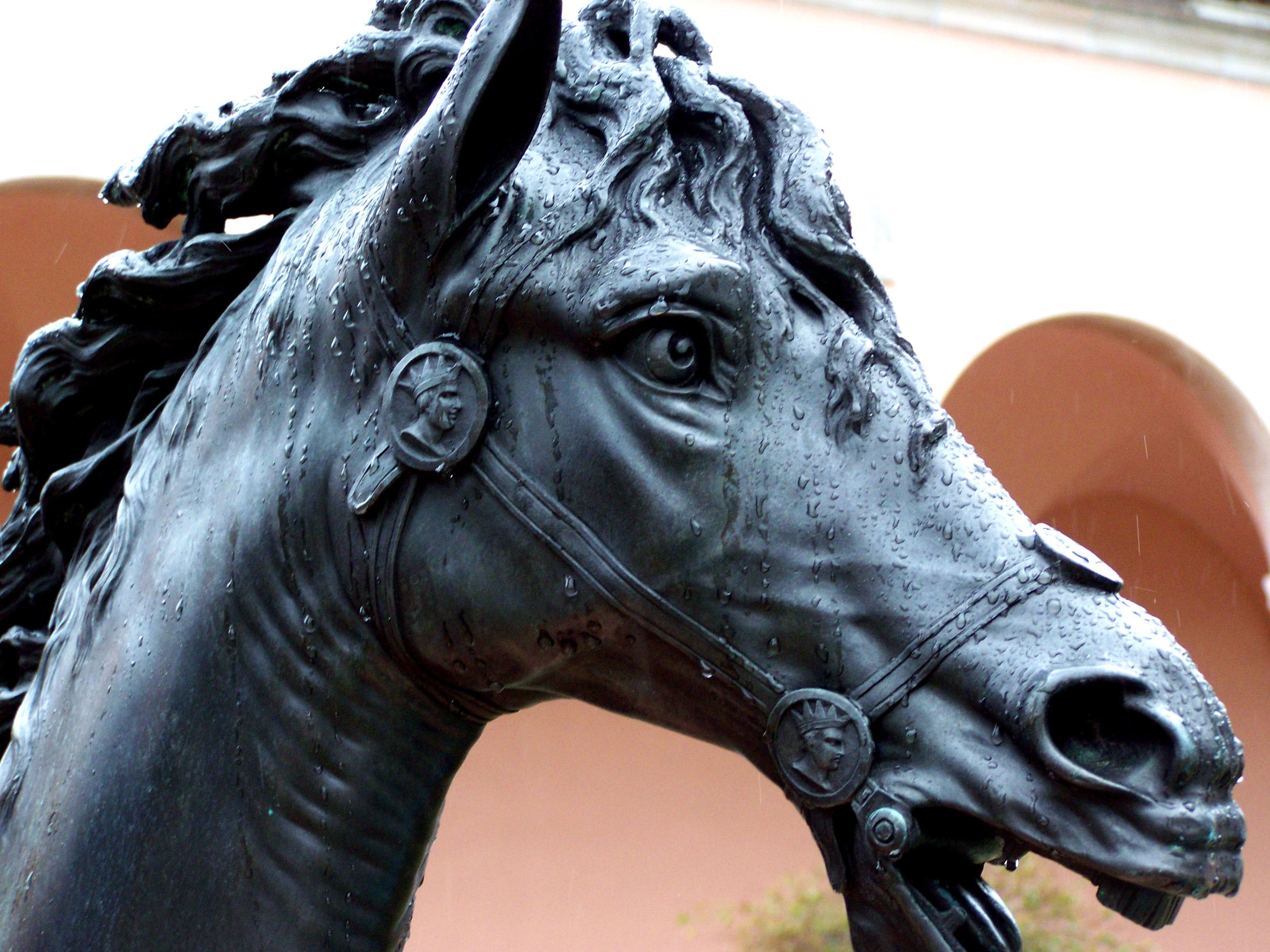 gray horse statue