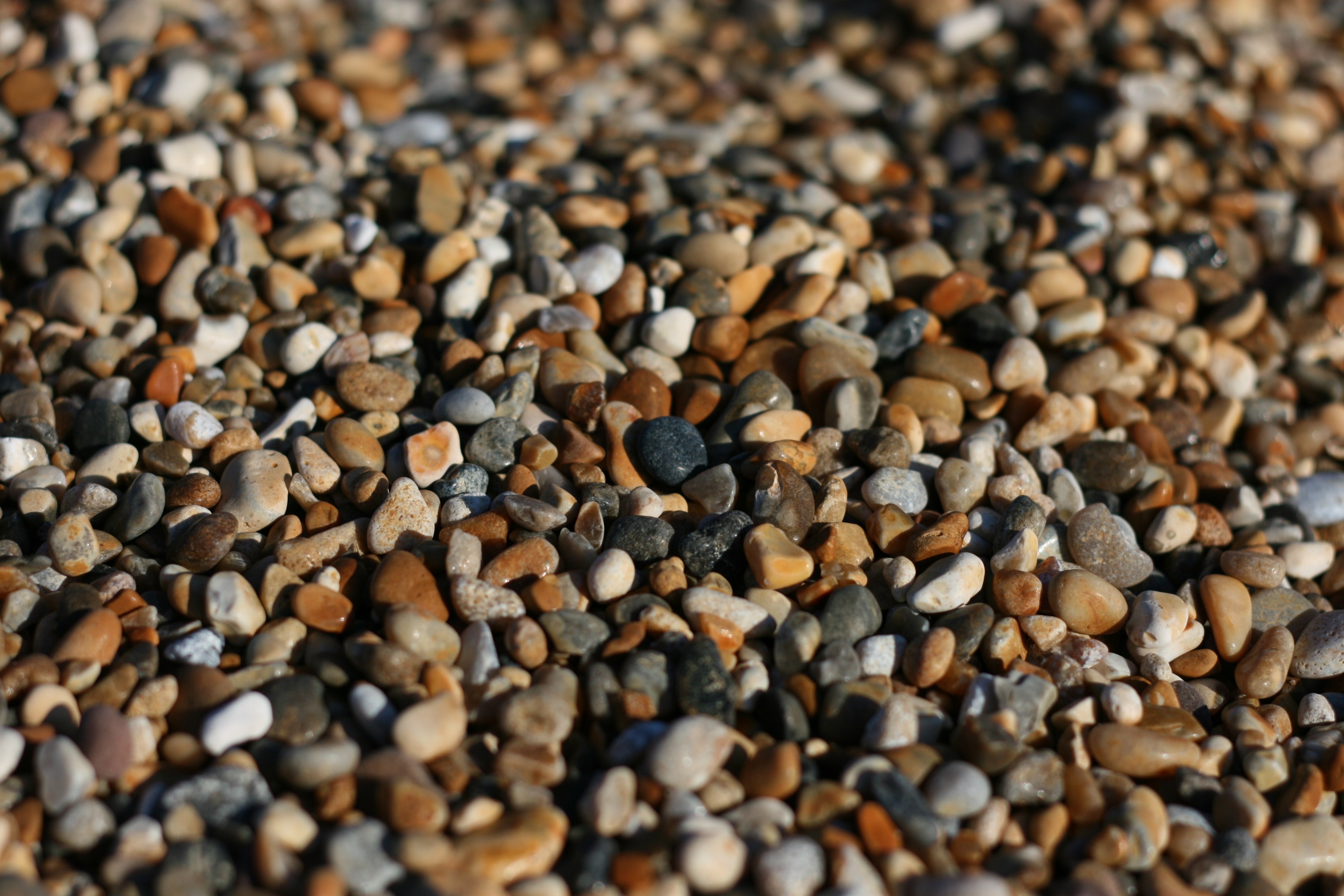 brown and gray pebbles