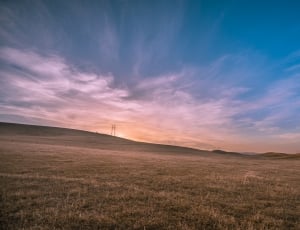 green grass and sunset view thumbnail