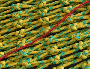 yellow teal and green ropes thumbnail