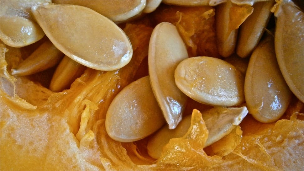 beige squash seeds preview