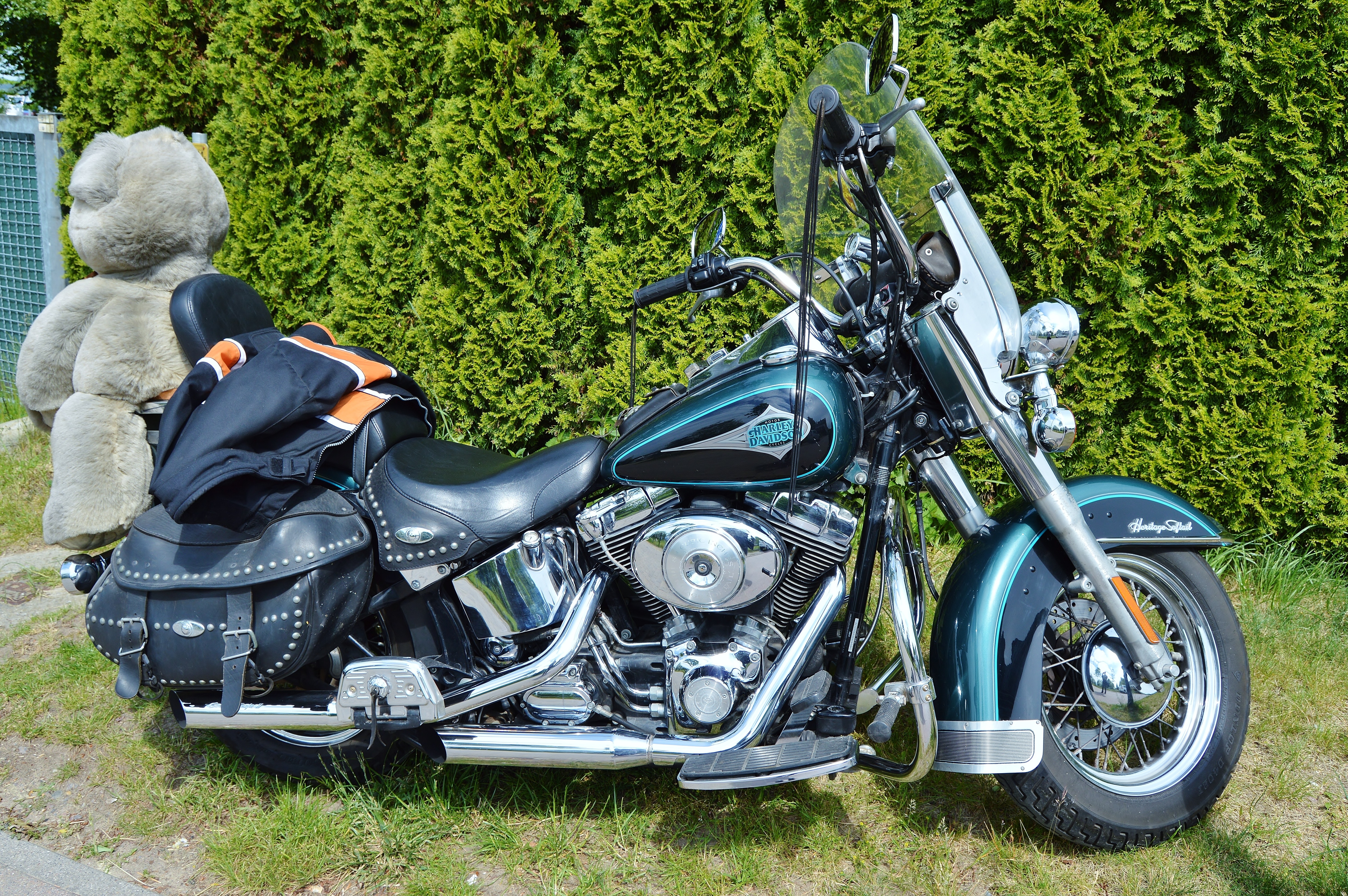 Motorcycle, Harley Davidson, Blue, motorcycle, transportation