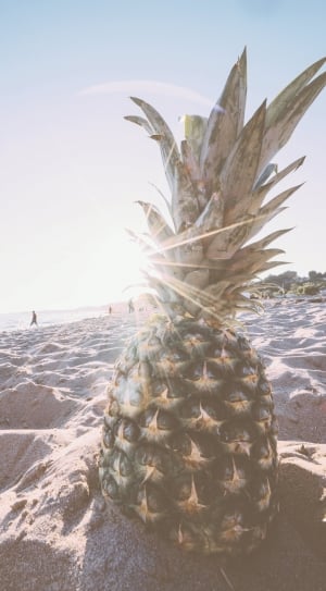 pineapple on seashore during daytime thumbnail
