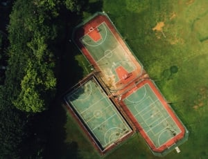 birds eye photography of three sports courts near tree during daytime thumbnail