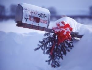 white mailbox during winter thumbnail