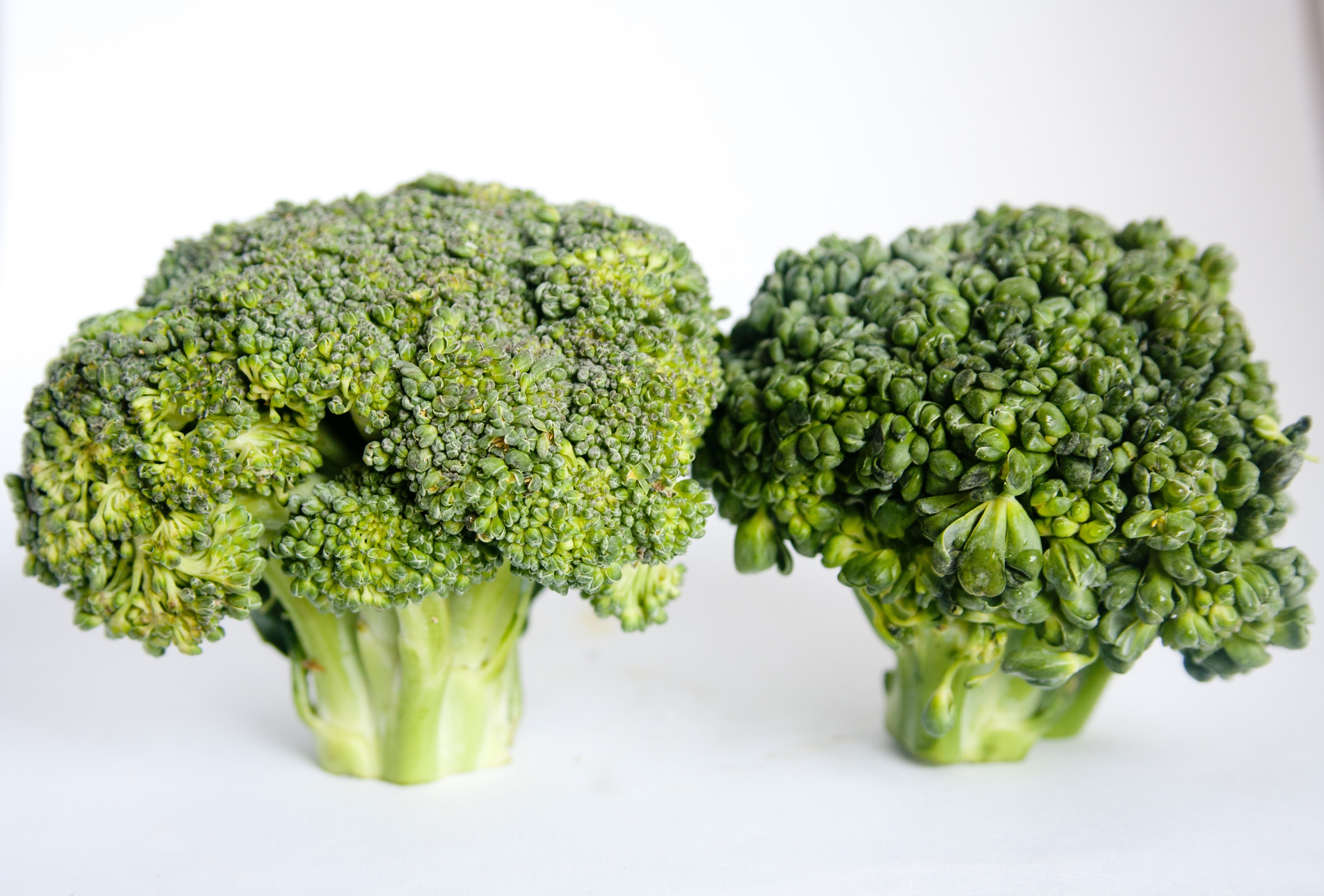 green broccolis