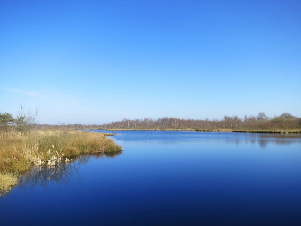 Nature Reserve, De Grote Peel, blue, lake preview