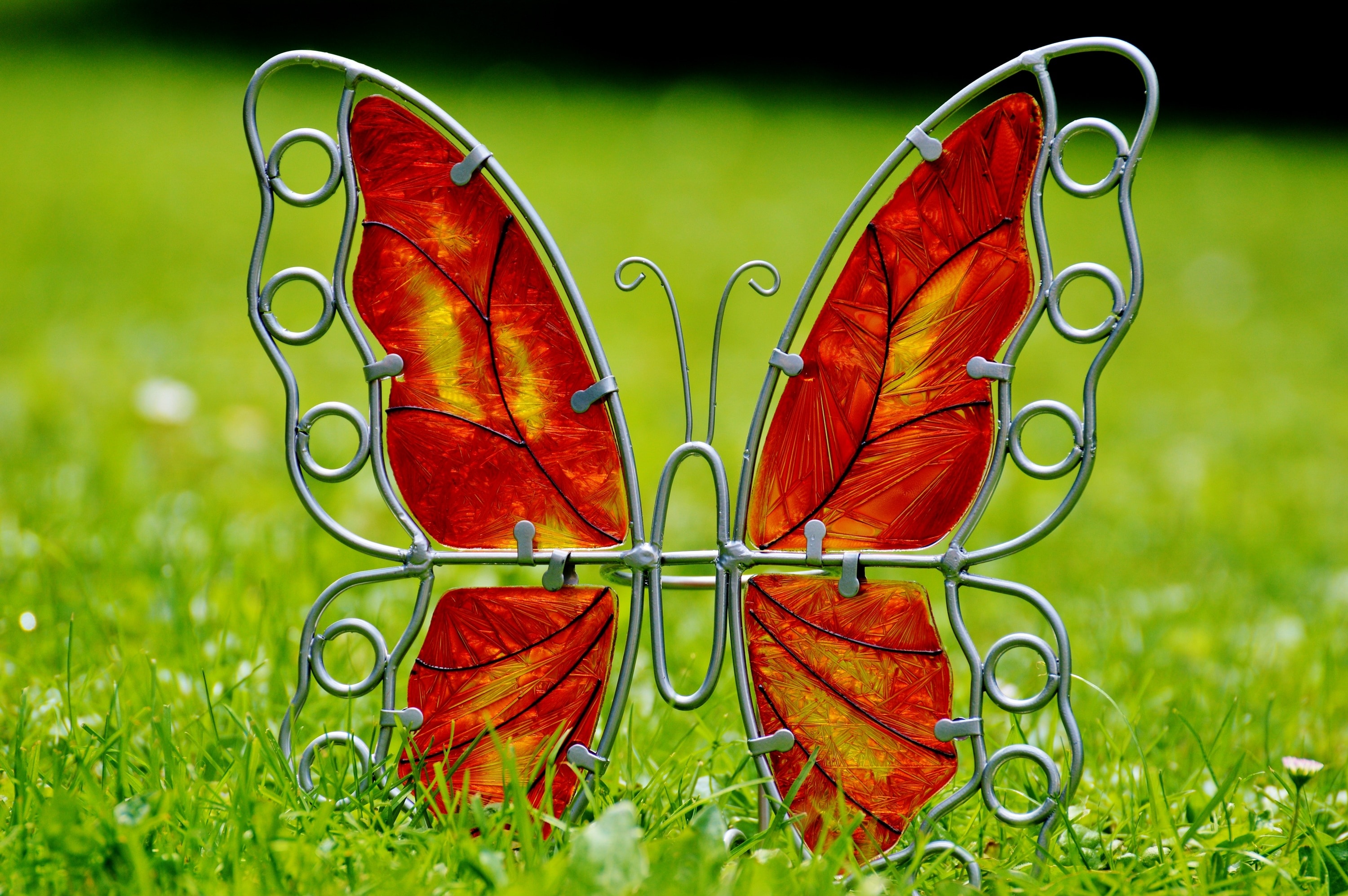 Butterfly, Metal, Decoration, Glass, grass, green color
