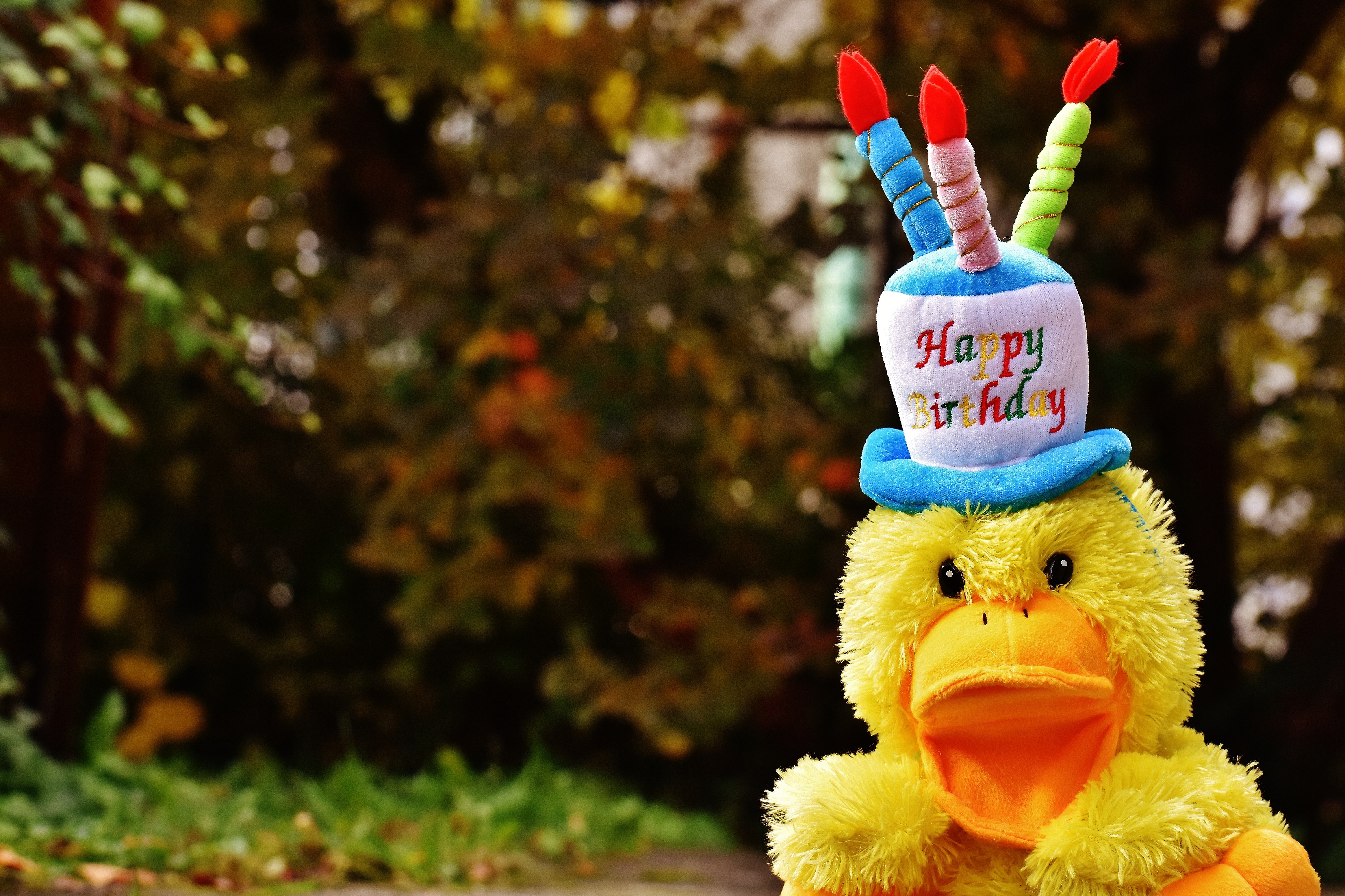 yellow duck plush toy with happy birthday cake hat.