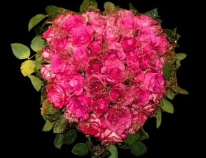 Flowers, Bouquet, Roses, flower, pink color thumbnail