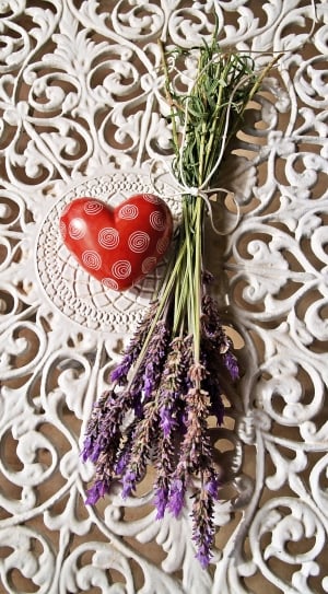 purple petaled flower with red and white heart shaped decor thumbnail
