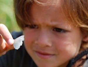 boy and white butterfly thumbnail