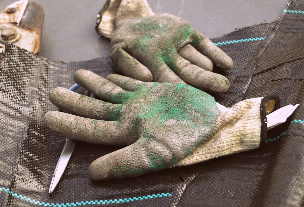 photo of white gloves with green stained colors preview