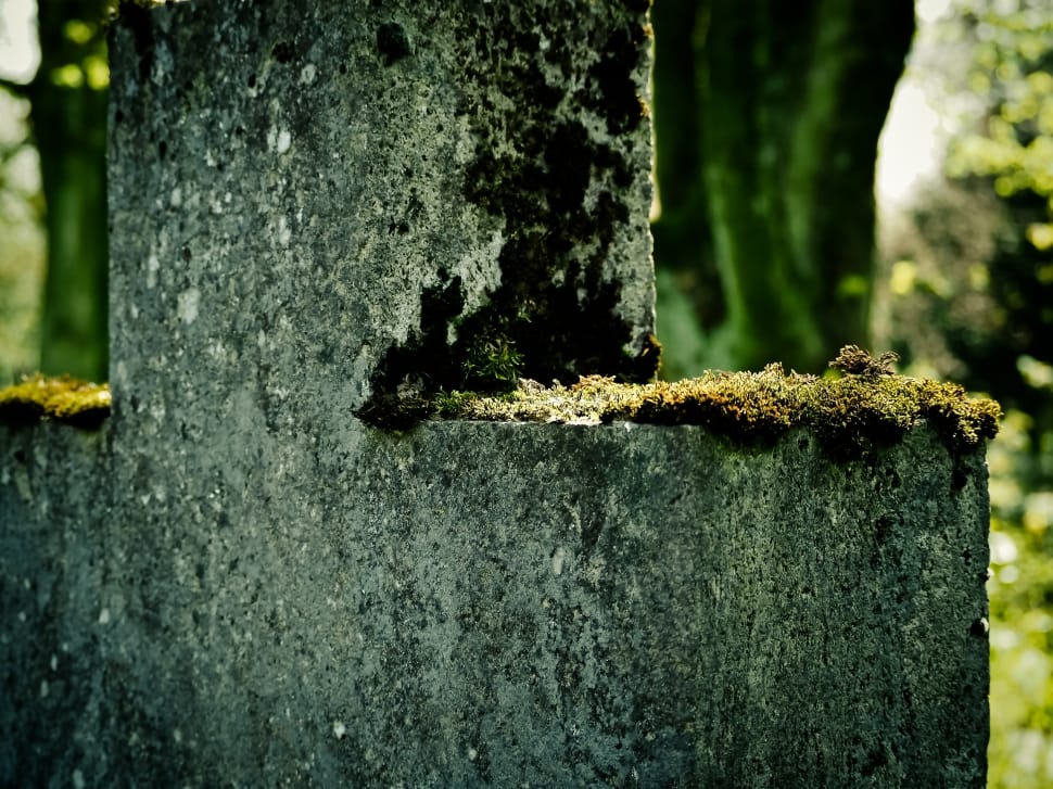 Stone Cross, Moss, Cross, Old, old, textured preview