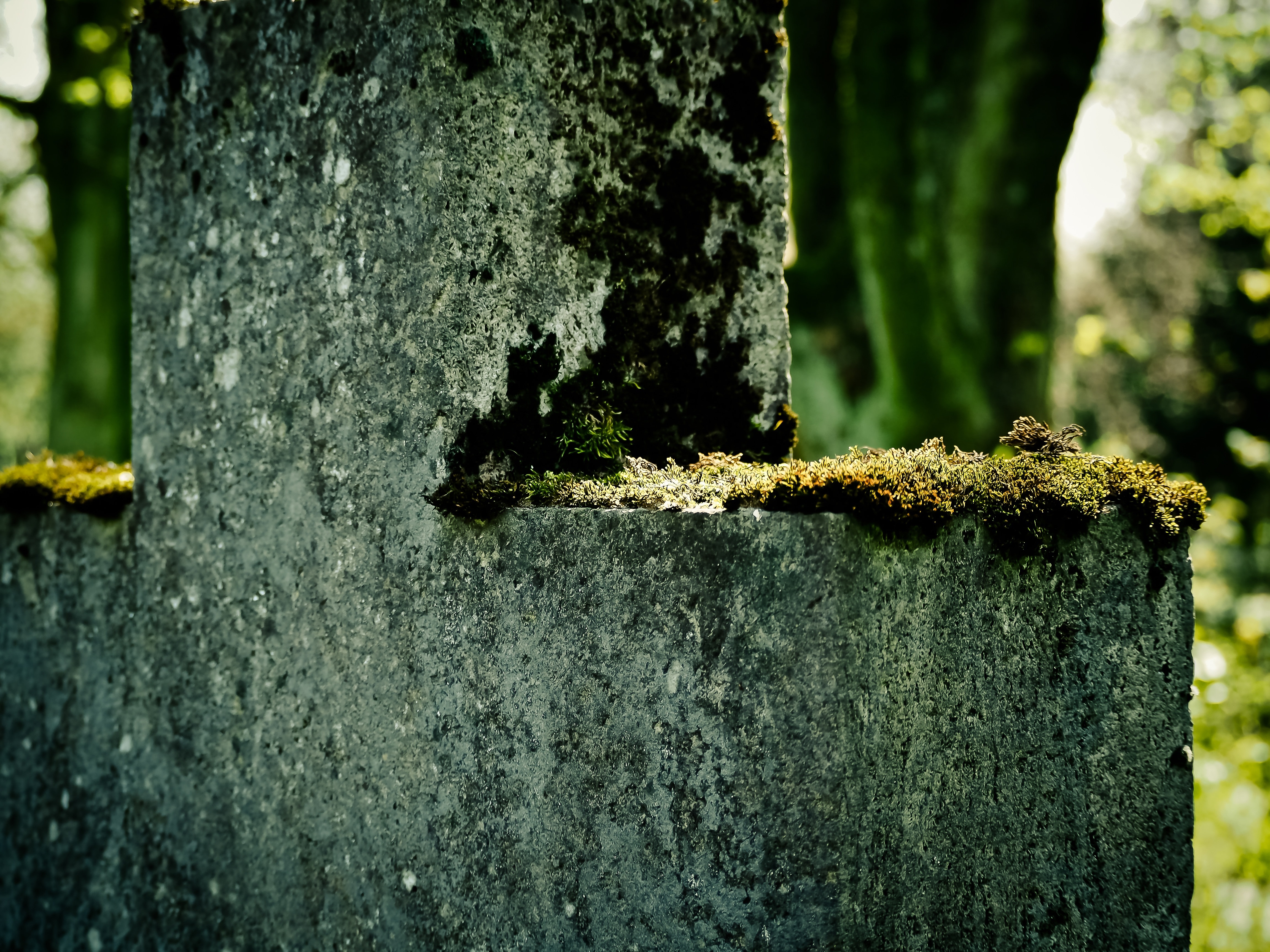 Stone Cross, Moss, Cross, Old, old, textured