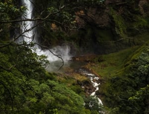 waterfall surrounded by green leaf trees at daytikme thumbnail