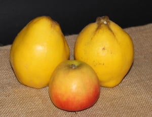 1 apple and 2 papayas thumbnail
