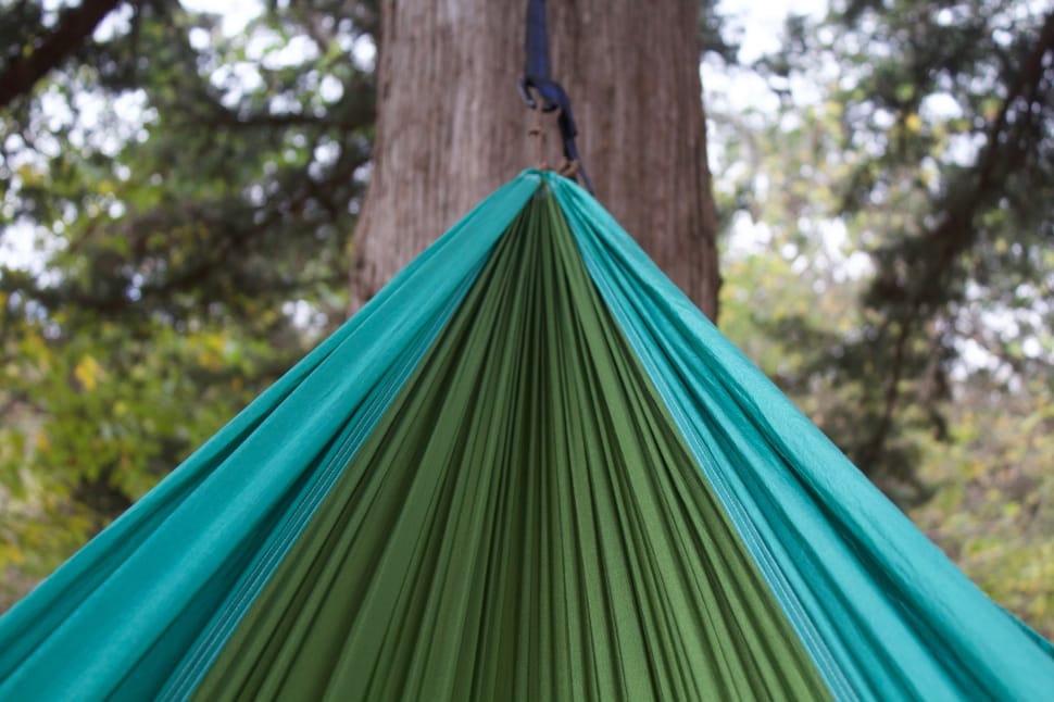 tree, plant, nature, outdoor, tree, hammock preview